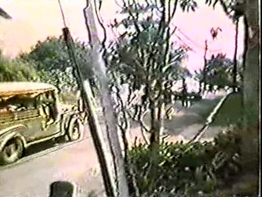 Custom Made 'Jeepney'