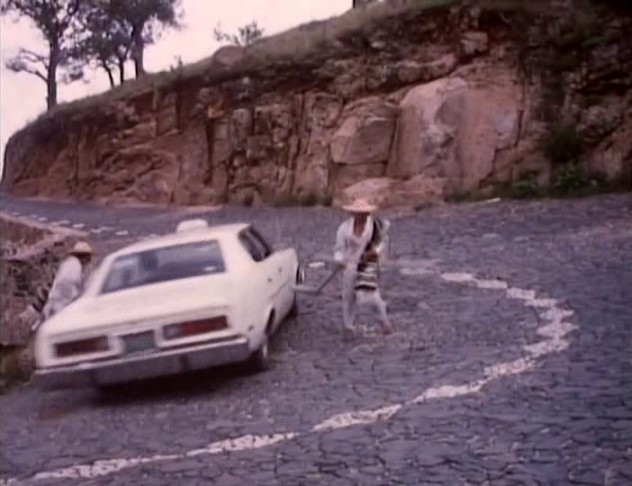 1974 VAM Rambler Classic