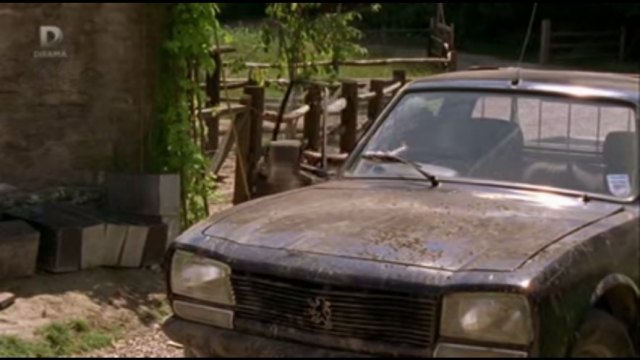 1987 Peugeot 504 Pick-up