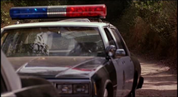 1981 Chevrolet Impala