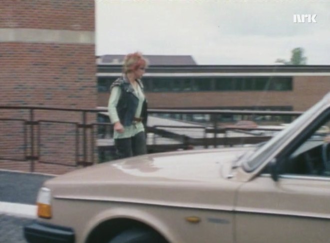 1981 Volvo 245