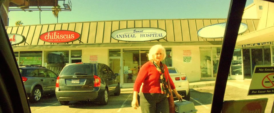 2007 Kia Rondo LX [UN]