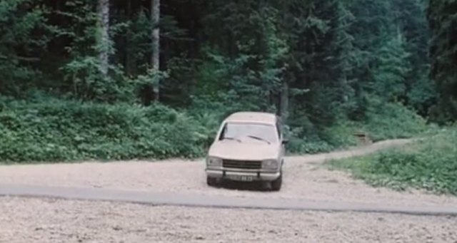 1977 Peugeot 504 Break