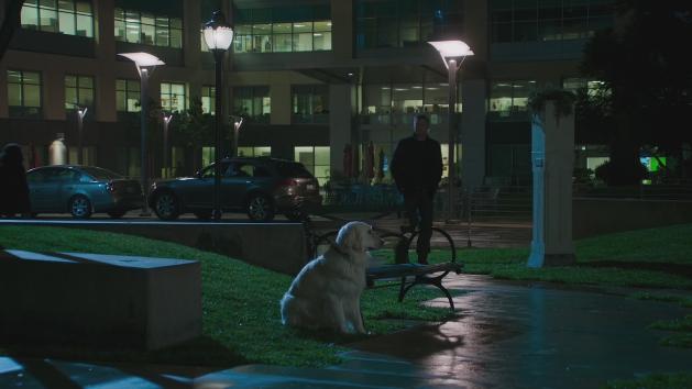 2003 Infiniti FX [S50]