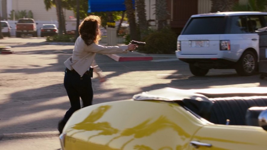 2010 Land-Rover Range Rover Series III [L322]