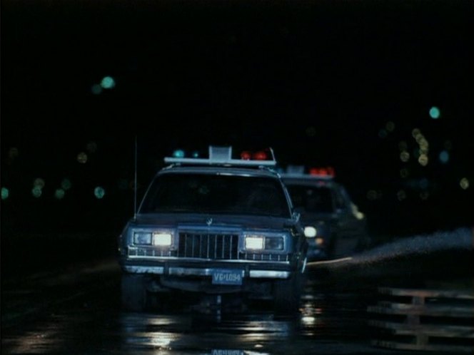 1982 Dodge Diplomat