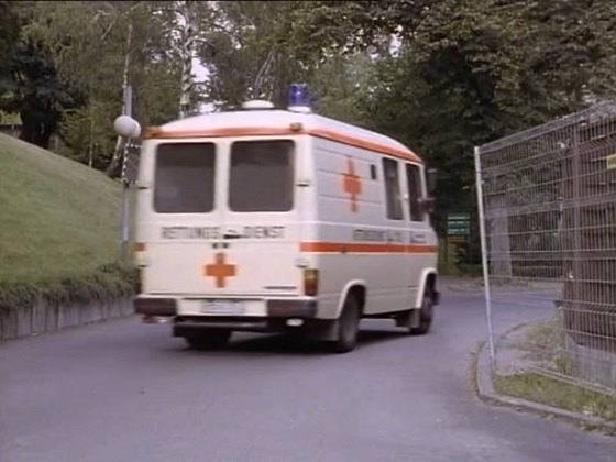 1981 Mercedes-Benz [T2]