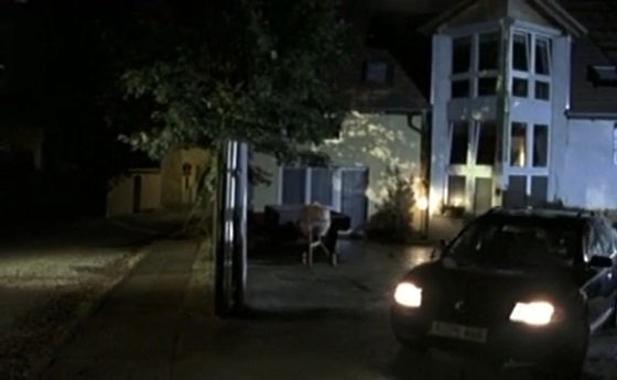 Volkswagen Passat Variant B5 [Typ 3B]