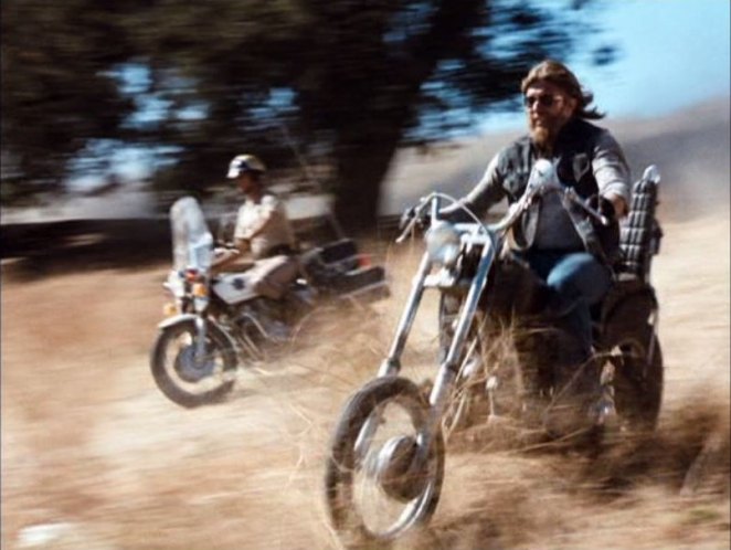 Harley-Davidson Custom Chopper