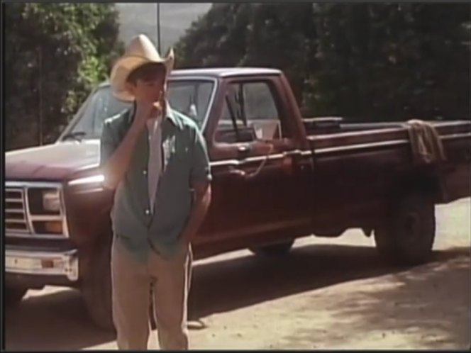 1982 Ford F-150 Regular Cab