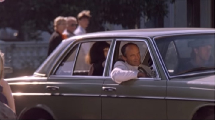 1980 Mercedes-Benz [W123]