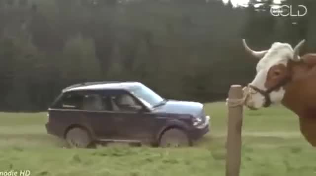 Land-Rover Range Rover Sport [L320]