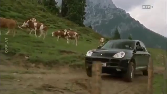 Porsche Cayenne [955]