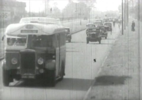 Leyland Tiger
