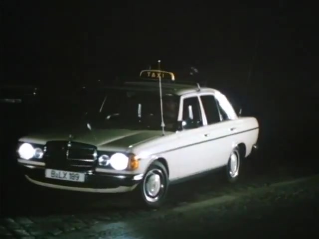 1976 Mercedes-Benz Series I [W123]