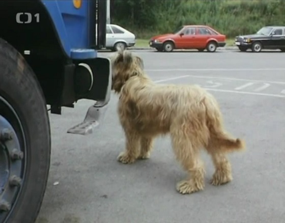 1986 Ford Escort MkIV