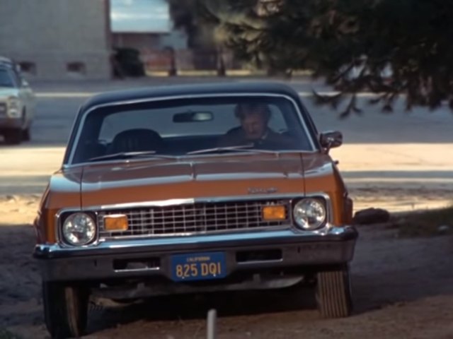 1973 Chevrolet Nova Custom [1XY69]