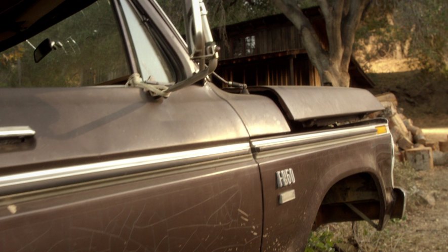 1976 Ford F-250 Regular Cab