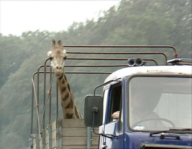 1971 Volvo F89 Giraffe transporter