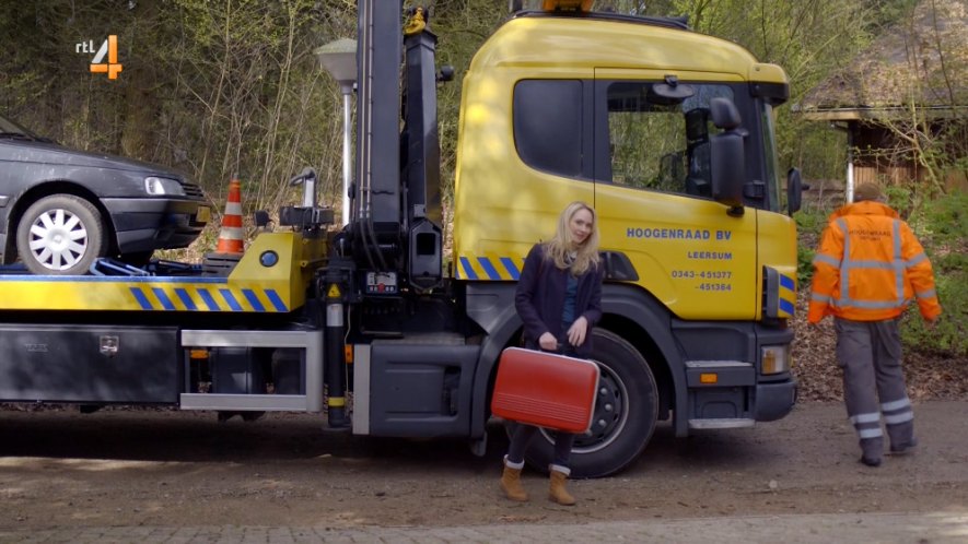 Scania P 94 D