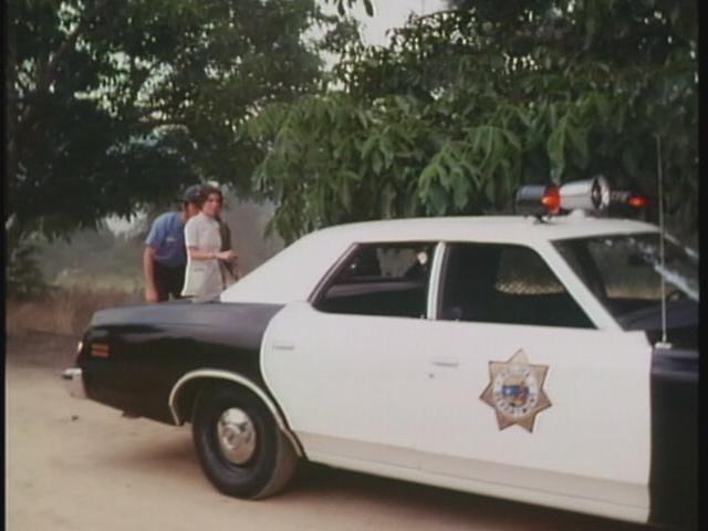 1973 Ford Custom 500