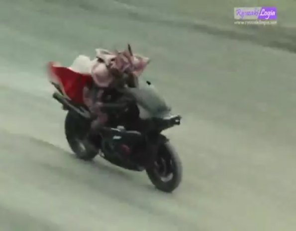 Suzuki GSX-R 400 'Hellshooter'