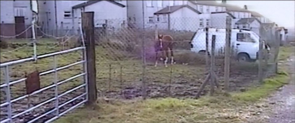 1992 Toyota LiteAce [R20]