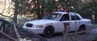 Click for details and comments about this vehicle 1052580