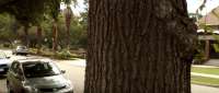 Click for details and comments about this vehicle 1204748
