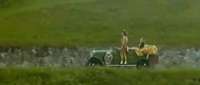 Click for details and comments about this vehicle 1213343