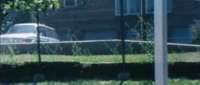 Click for details and comments about this vehicle 2100828