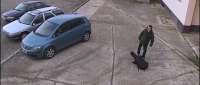 Click for details and comments about this vehicle 2104696