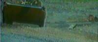 Click for details and comments about this vehicle 2104981