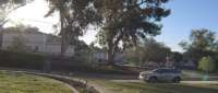Click for details and comments about this vehicle 2134236
