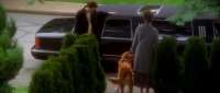 Click for details and comments about this vehicle 737361