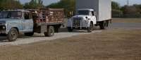 Click for details and comments about this vehicle 837147