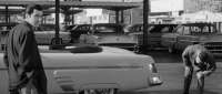 [Image: Vehicle 1425447]