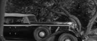 [Image: Vehicle 870548]